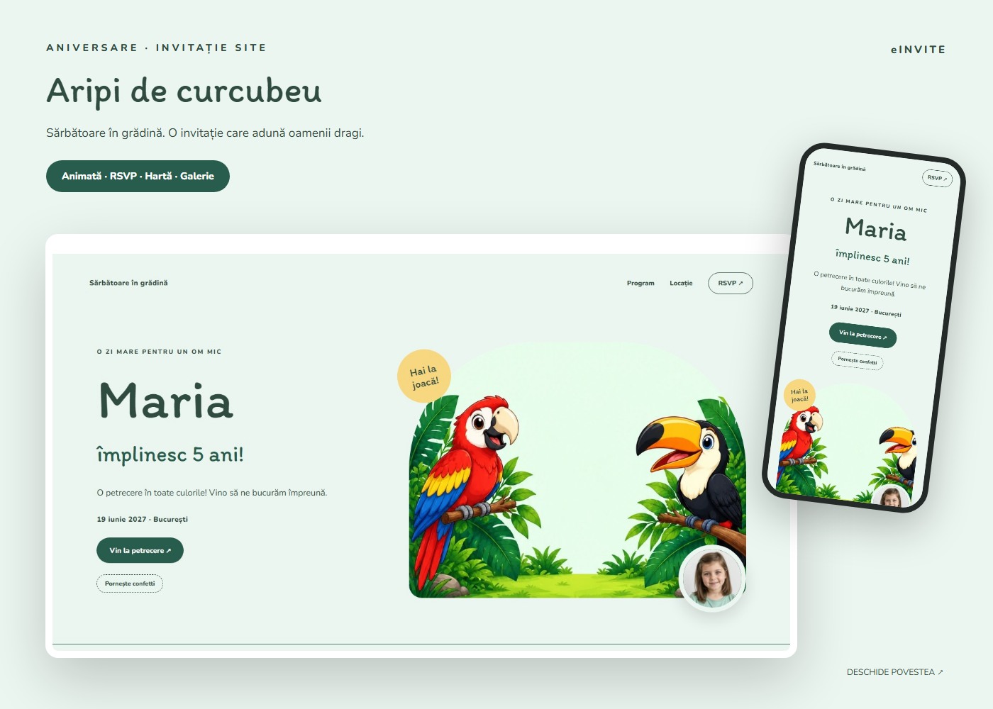 Aripi de curcubeu — Site — invitație aniversare website