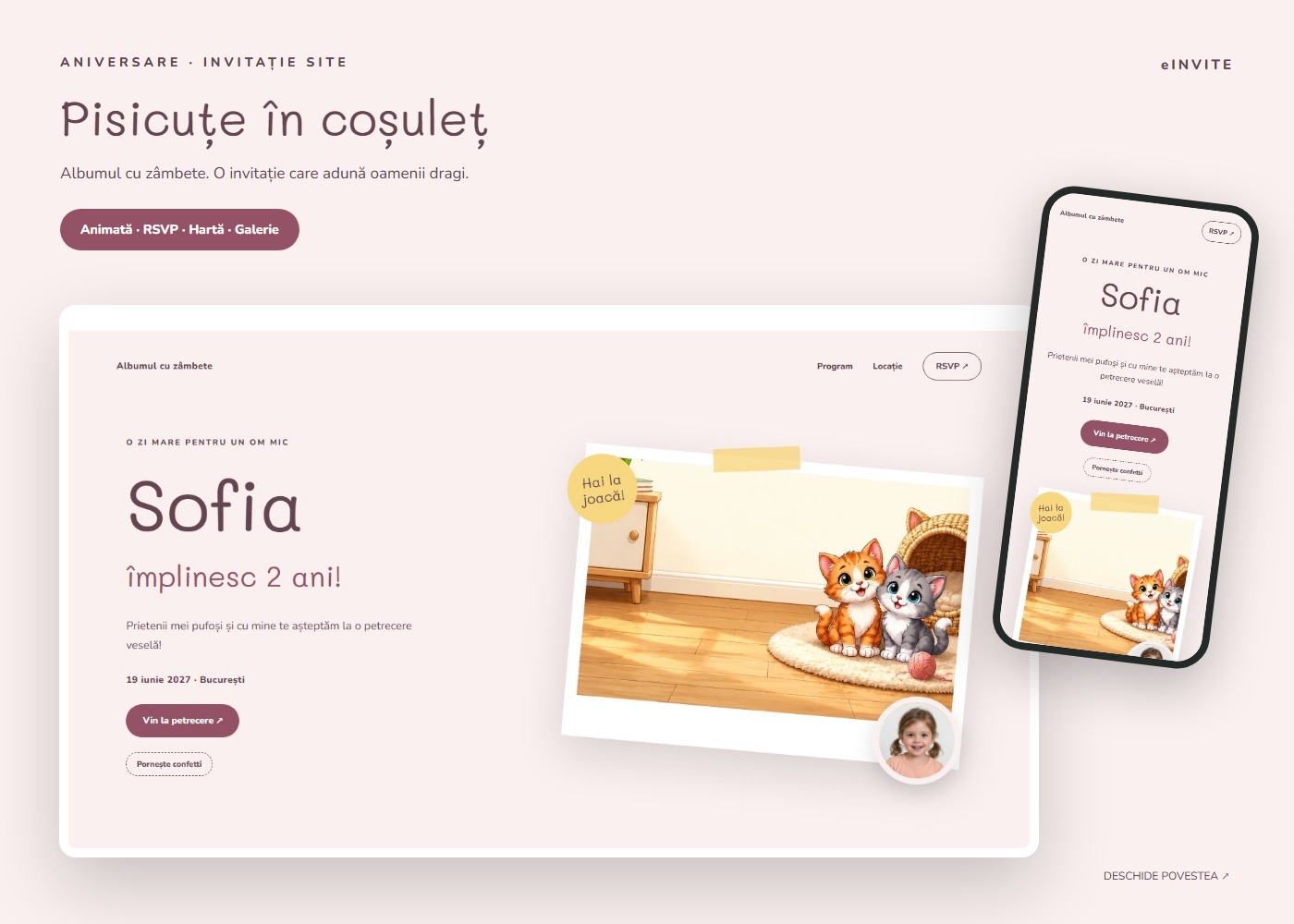 Pisicuțe în coșuleț — Site — invitație aniversare website