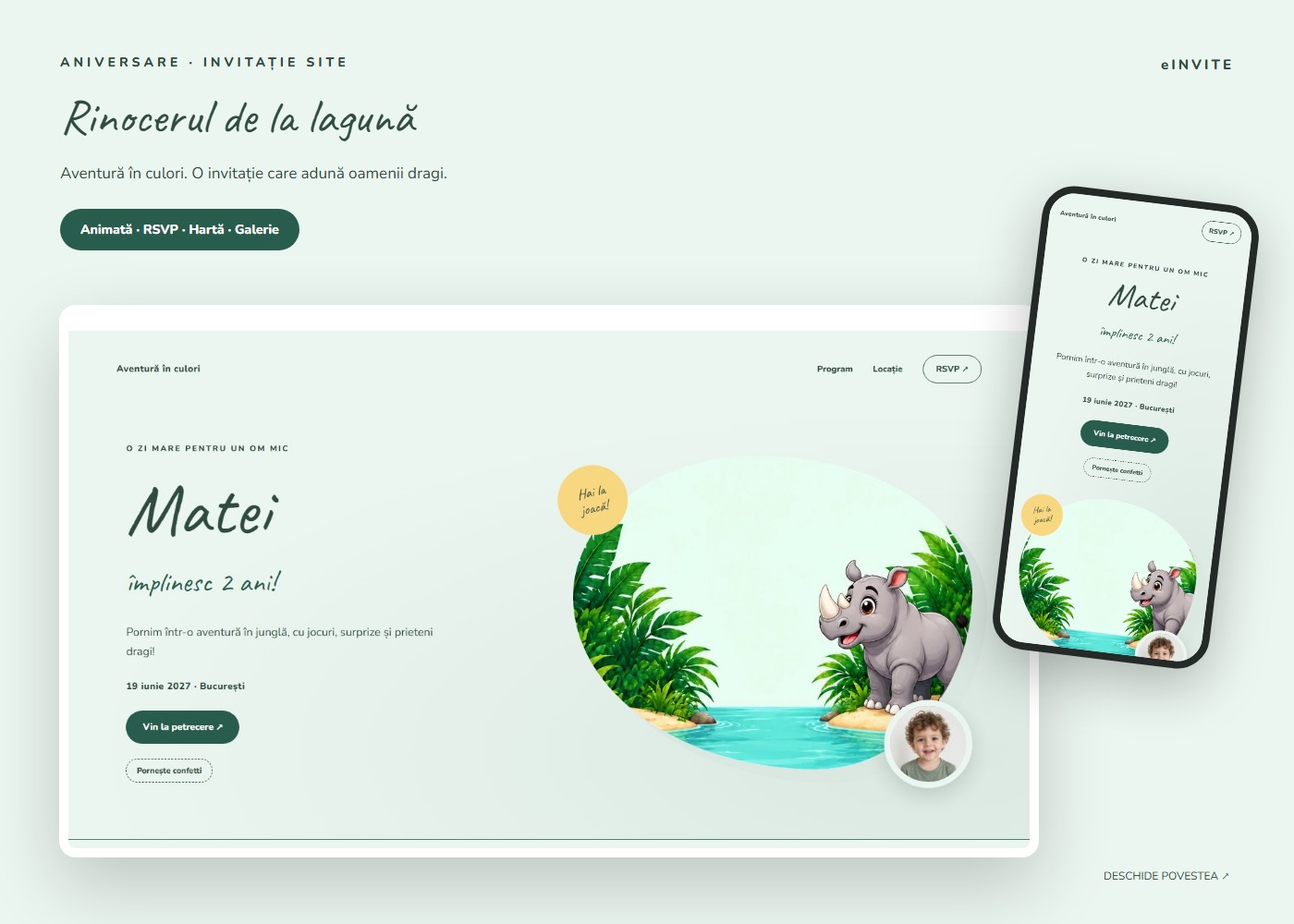 Rinocerul de la lagună — Site — invitație aniversare website
